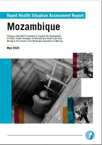 Rapid Health Situation Assessment Report: Mozambique